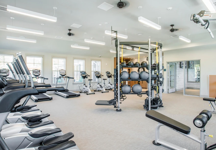 Spacious gym with treadmills, exercise bikes, and strength equipment in bright fitness room