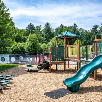 Multi-level play structure with slides and ladders surrounded by tall trees and open space