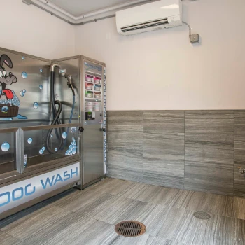 Indoor pet grooming station with tiled floors, professional dog wash equipment, and bright lighting