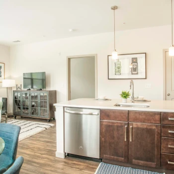 Open-concept apartment showing living room with TV and kitchen featuring dark wood cabinetry