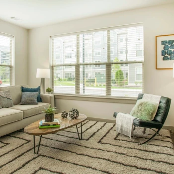 Sunlit living room featuring modern furniture, patterned rug, and large windows with outdoor views