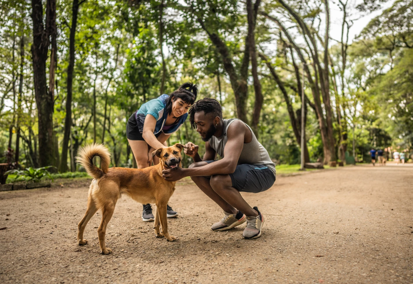 Couple kneeling to pet happy brown dog during a walk through wooded park trail