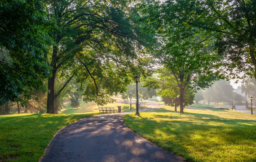 Sunlight streaming through lush green trees over a winding path in city park